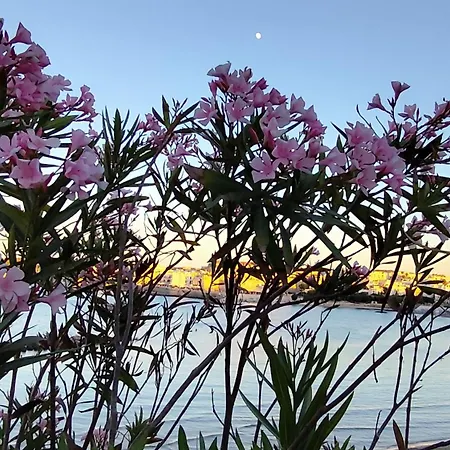 Mare E Spiagge Mon 3*