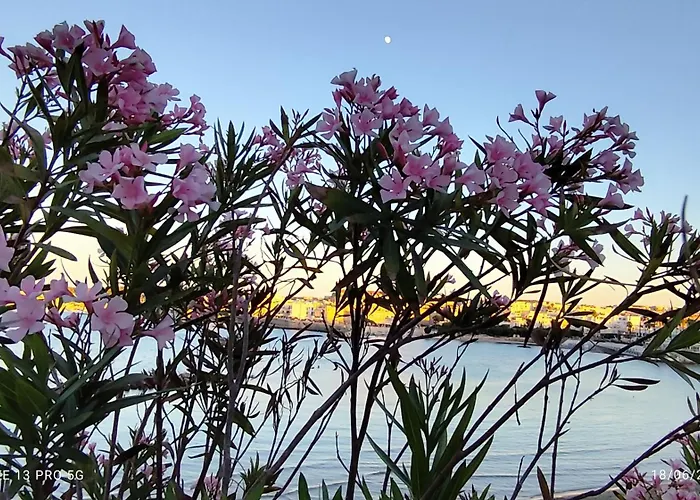 Mare E Spiagge Mon 3*